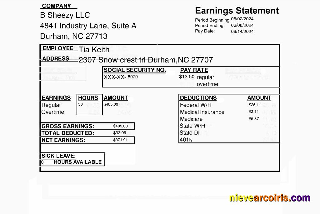 B Sheezy LLC earnings statement